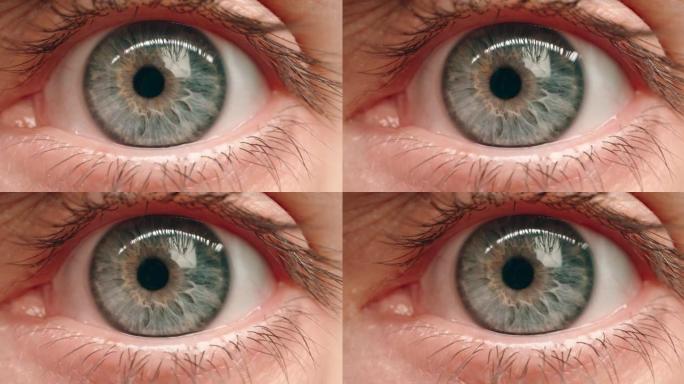 开眼微距拍摄广角蓝色眼睛瞳孔巩膜目视前方