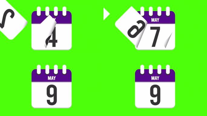 5月9日。日历出现，页面下降到5月9日。绿色背景，色度键 (4k循环)