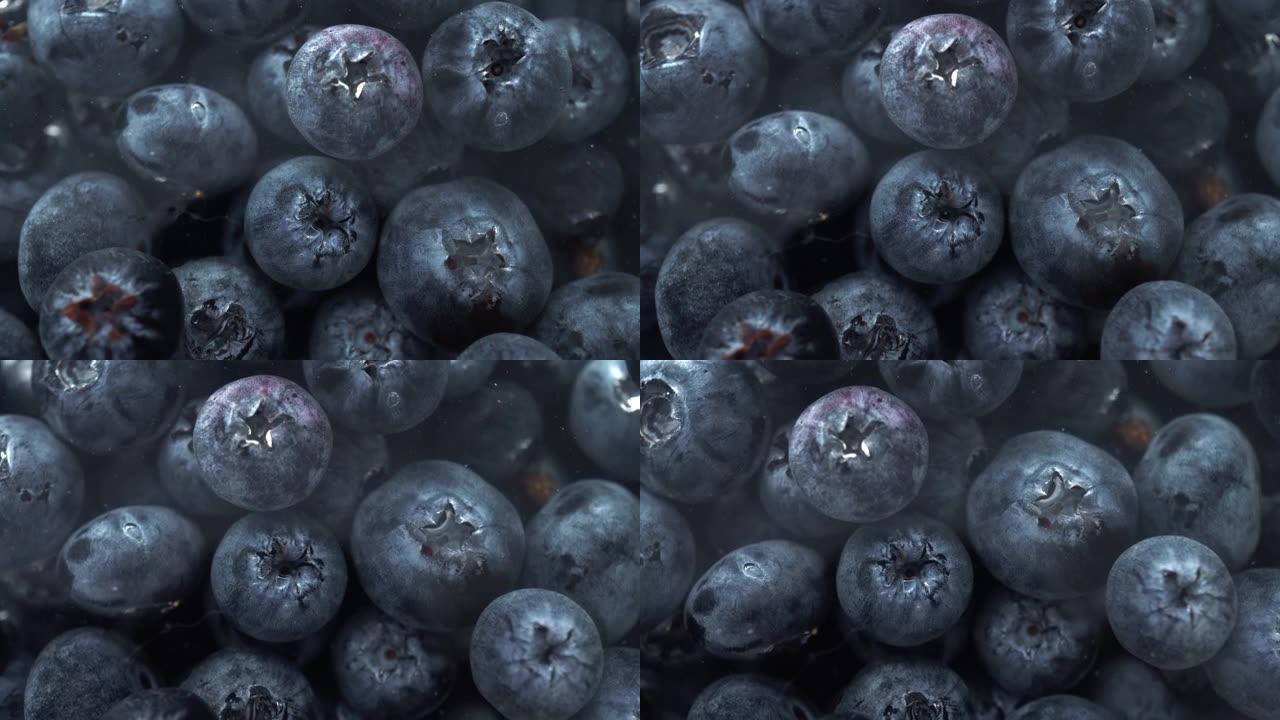 宏观蓝莓
