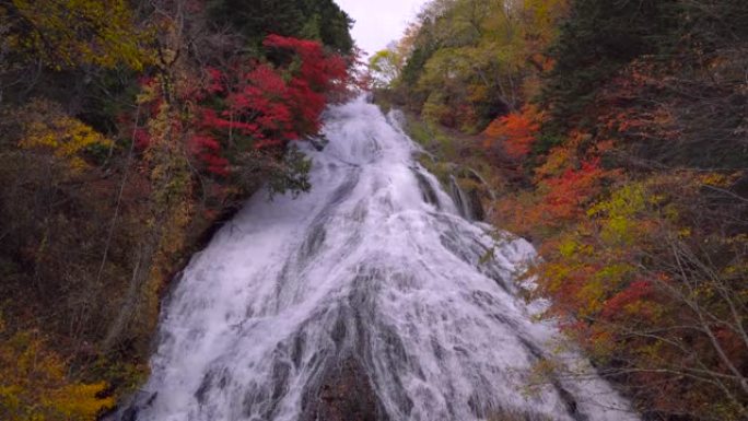 秋天森林中瀑布的4k镜头