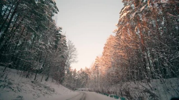 森林POV的冬季雪路