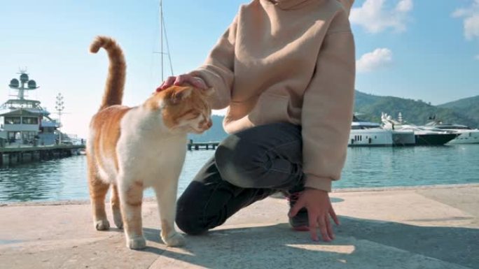 女孩温柔在游艇港抚摸着一只红白相间的猫。土耳其的卡什市。4k镜头UHD 3840x2160