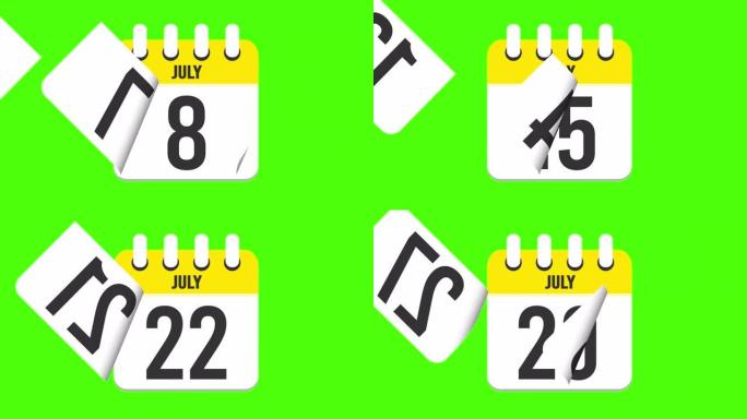 7月29日。日历出现，页面下降到7月29日。绿色背景，色度键 (4k循环)