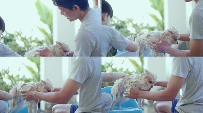 亚洲儿子和父亲在屋外沐浴博美犬。