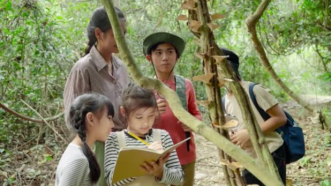 亚洲女教师正在带学生走上自然之路，从真实的地方、教育理念、冒险中学习自然。