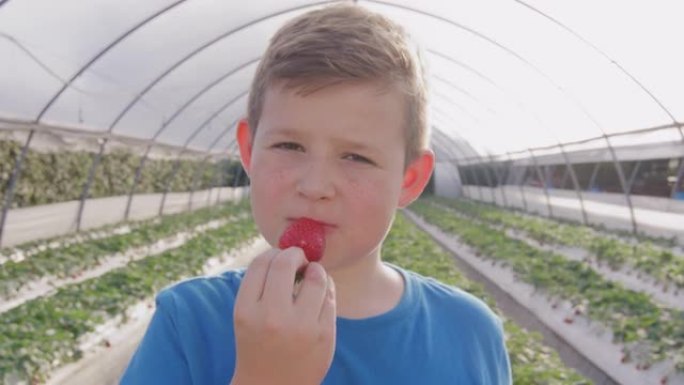 十几岁男孩在农场的床上吃红色美味草莓的特写肖像
