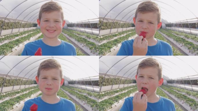 十几岁男孩在农场的床上吃红色美味草莓的特写肖像