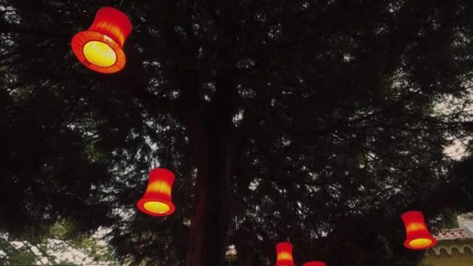 可爱的彩色纸灯笼挂在绿树的树枝上