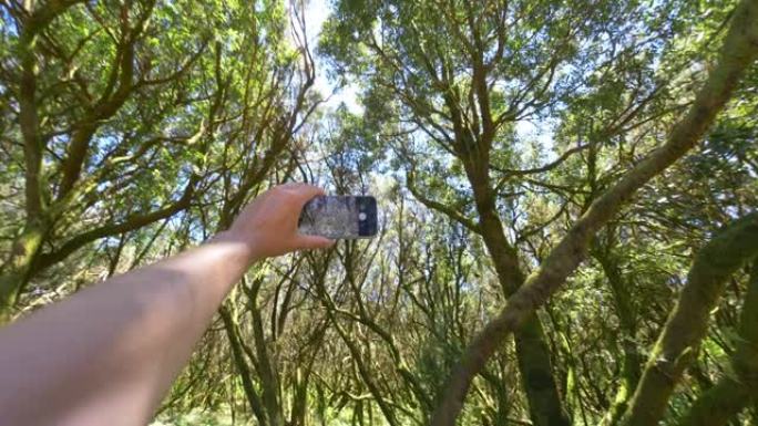 以4k慢动作60fps拍摄戈梅拉岛古月桂树森林的皮塔雷