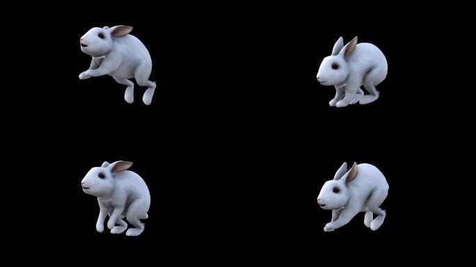 大白兔跳前侧视图