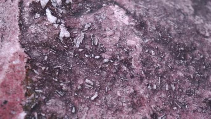穿插白色大理石的粉红色原始石头的自然纹理特写。慢动作。