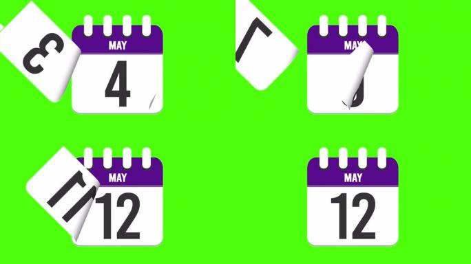 5月12日。日历出现，页面下降到5月12日。绿色背景，色度键 (4k循环)