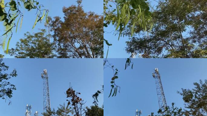 具有5g蜂窝网络天线和农村地区的电信塔。
