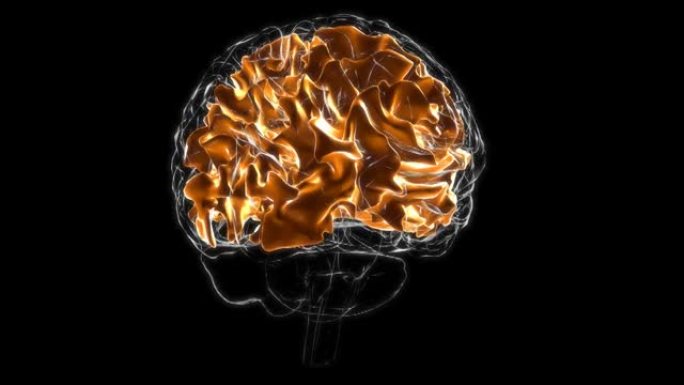 脑白质脑半球解剖医学概念3D动画