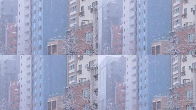 东京市降雪雪林雪景冰天冰山