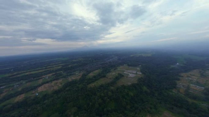 空中高度夜景史诗亚洲雨林棕榈树绿色稻田