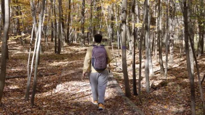白天，背着背包的人在秋天的森林里带着黄树走在小径上