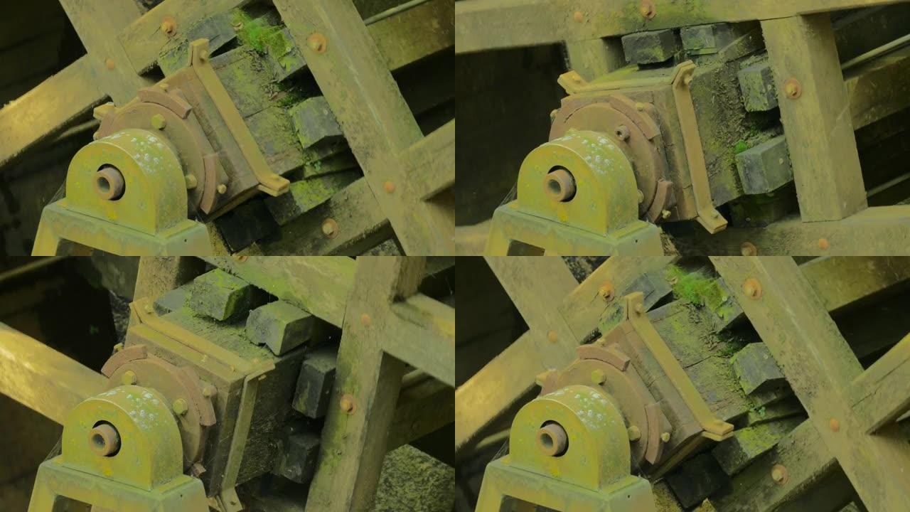 水车剪断的苔藓齿轮的特写镜头
