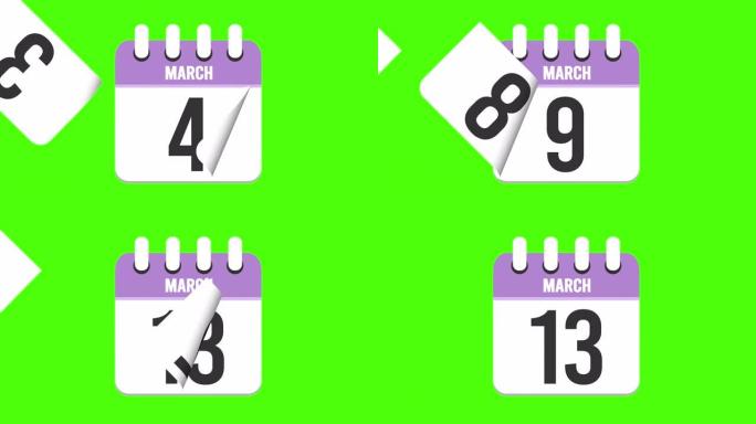 3月13日。日历出现，页面下降到3月13日。绿色背景，色度键 (4k循环)