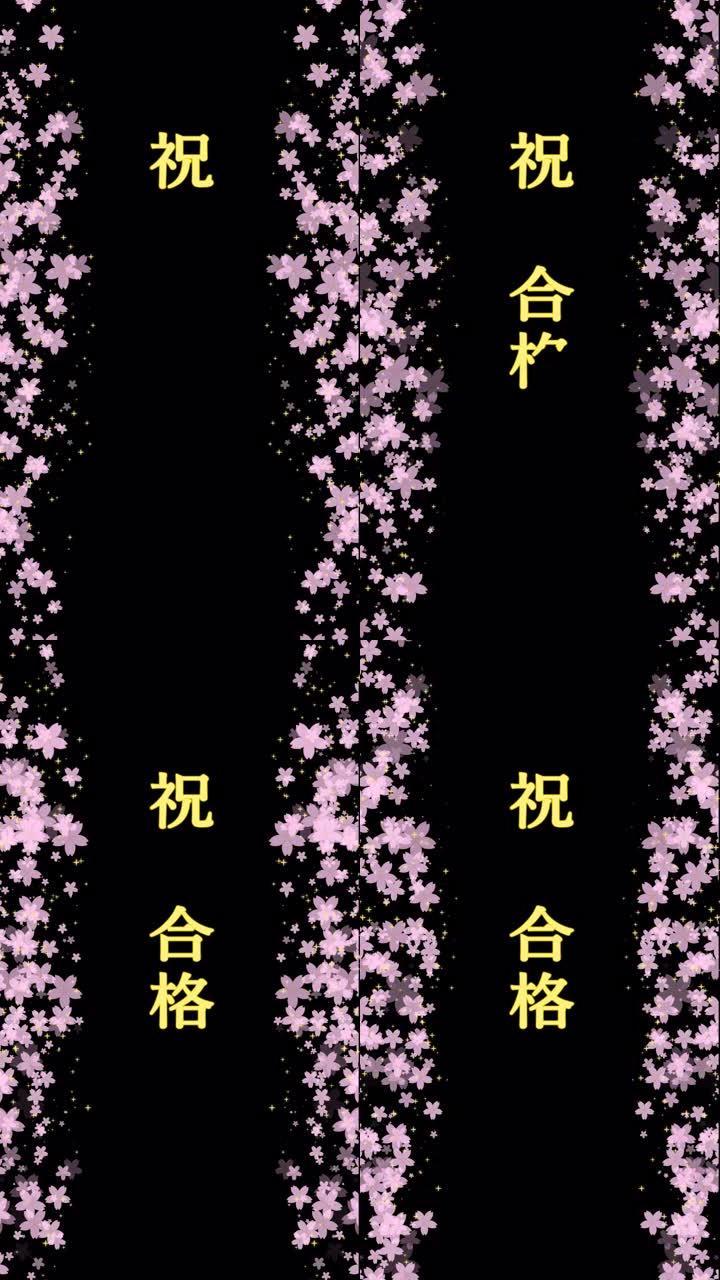 用金色书写字母 “恭喜通过” 的动画和带有alpha通道的粉红色樱花和星星在左右两侧 (透明背景) 