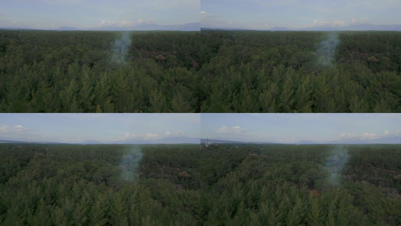 四轴飞行器通过一列烟雾在森林中找到了着火的地方