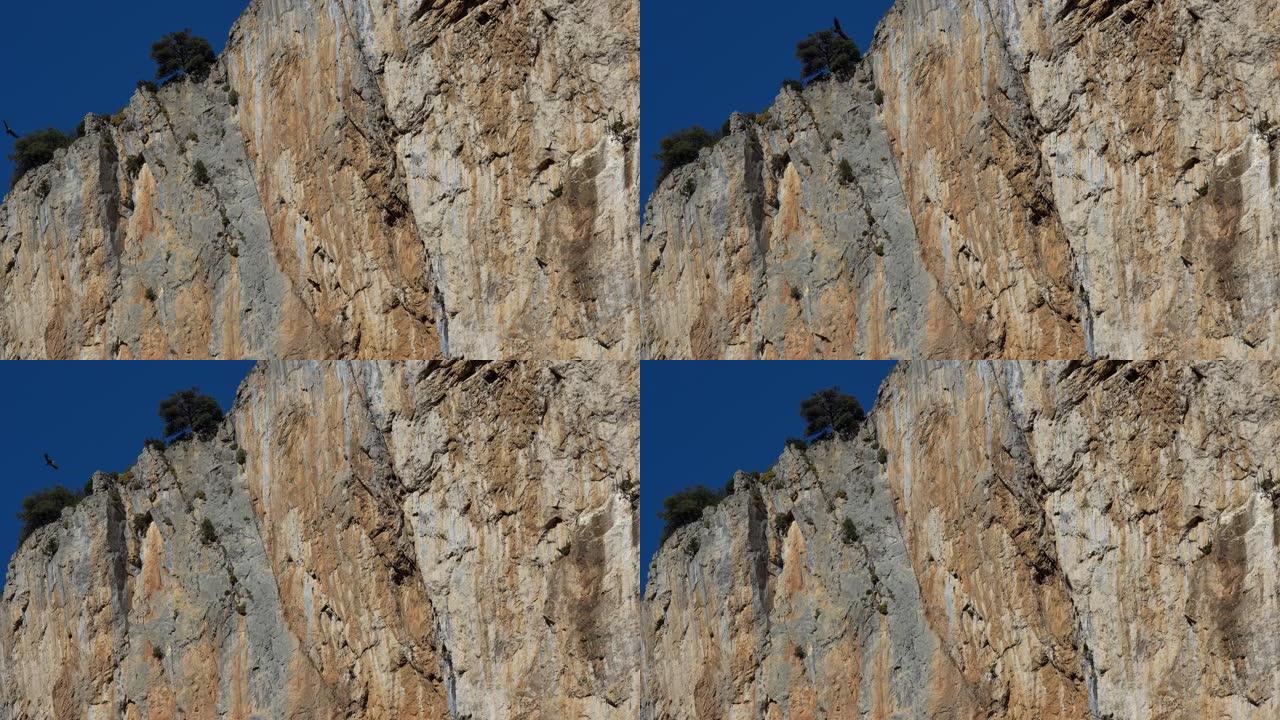 狮鹫飞越峡谷的鸟瞰图