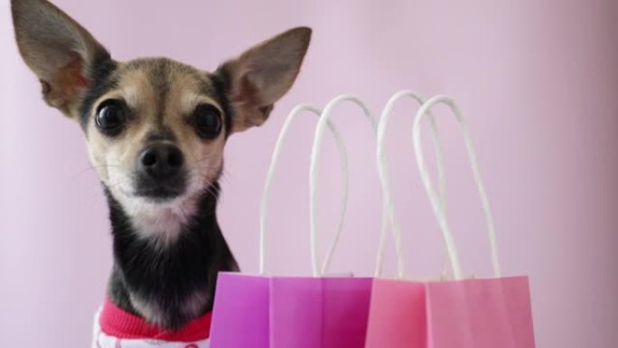 宠物超市，狗配件，带宠物购物袋的快乐狗