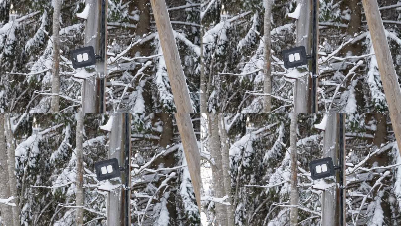 爱沙尼亚森林地面哨所的应急灯