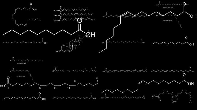 来自脂质和脂肪酸的化学结构出现在黑色背景上