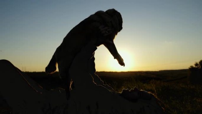 剪影在日落时，一个女人躺在草丛中，抱着一只狗，在大自然中玩耍