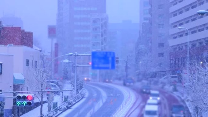 东京市大雪纷飞冬天日本东京冬天雪花飞舞