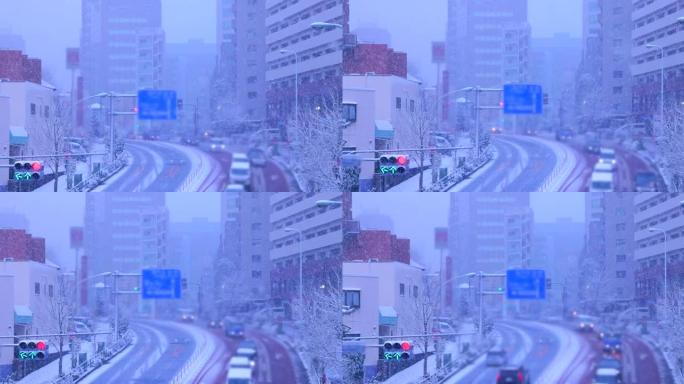 东京市大雪纷飞冬天日本东京冬天雪花飞舞