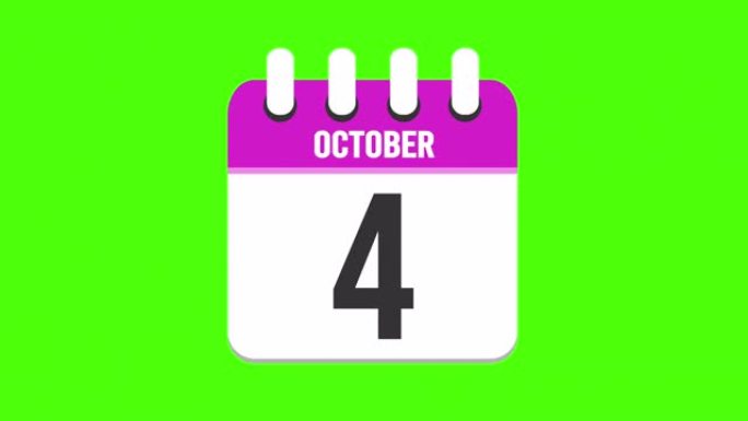 10月4日。日历出现，页面下降到10月4日。绿色背景，色度键 (4k循环)