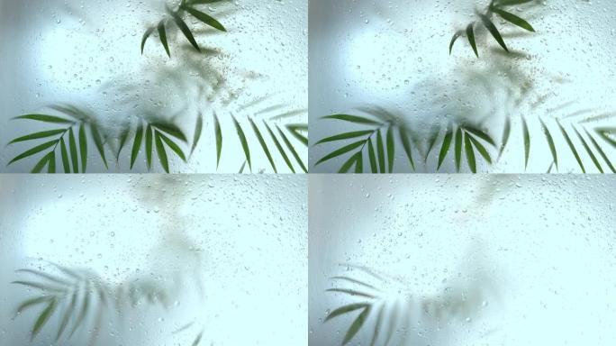 树叶阴影效果的树枝。模糊的图片，带有树叶剪影的雾效果。选择性聚焦。模糊运动背景