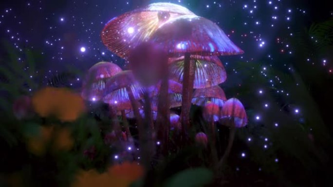 3D迷幻魔术蘑菇Trippy视频为您的背景。