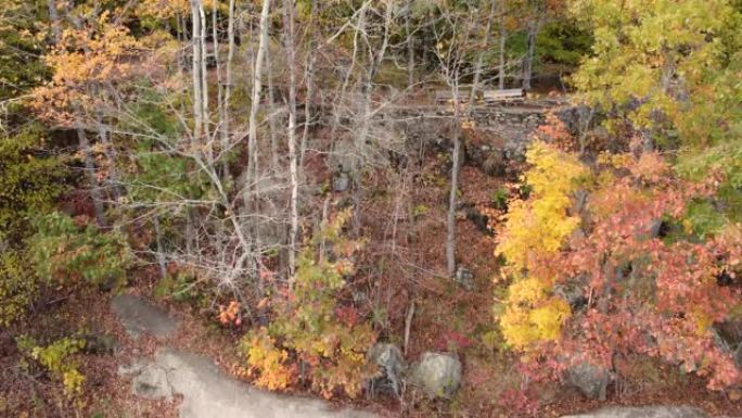 空中无人机从干燥的河床的岩石面升起，经过森林树木，随着季节之间的自然变化，展现出美丽的秋天色彩