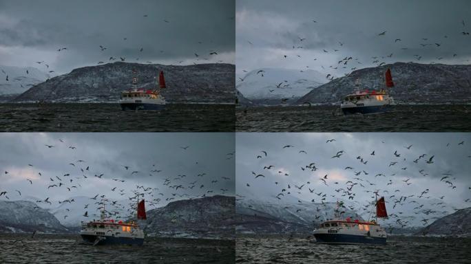 成群的海鸟在挪威峡湾的一艘商业渔船周围飞来飞去，风景极为广阔