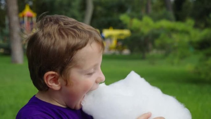 男孩在公园吃蓬松的棉花糖