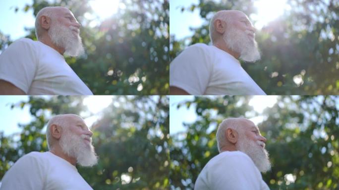 夏天，大胡子自信的老人站在户外阳光照射下的底角视图。轻松快乐的高加索男性退休人员在阳光明媚的公园享受