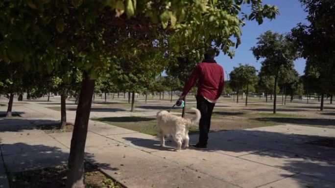 年轻男性和他的白色金毛猎犬在公园散步