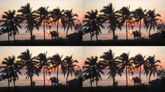 背景为海滩和黄昏日落的椰子树的轮廓。放松和度假的感觉。泰国。普吉岛。尚塔布里。