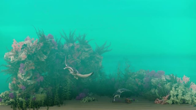 礁石场景。水下生命的3d动画。海底珊瑚。水上循环动画