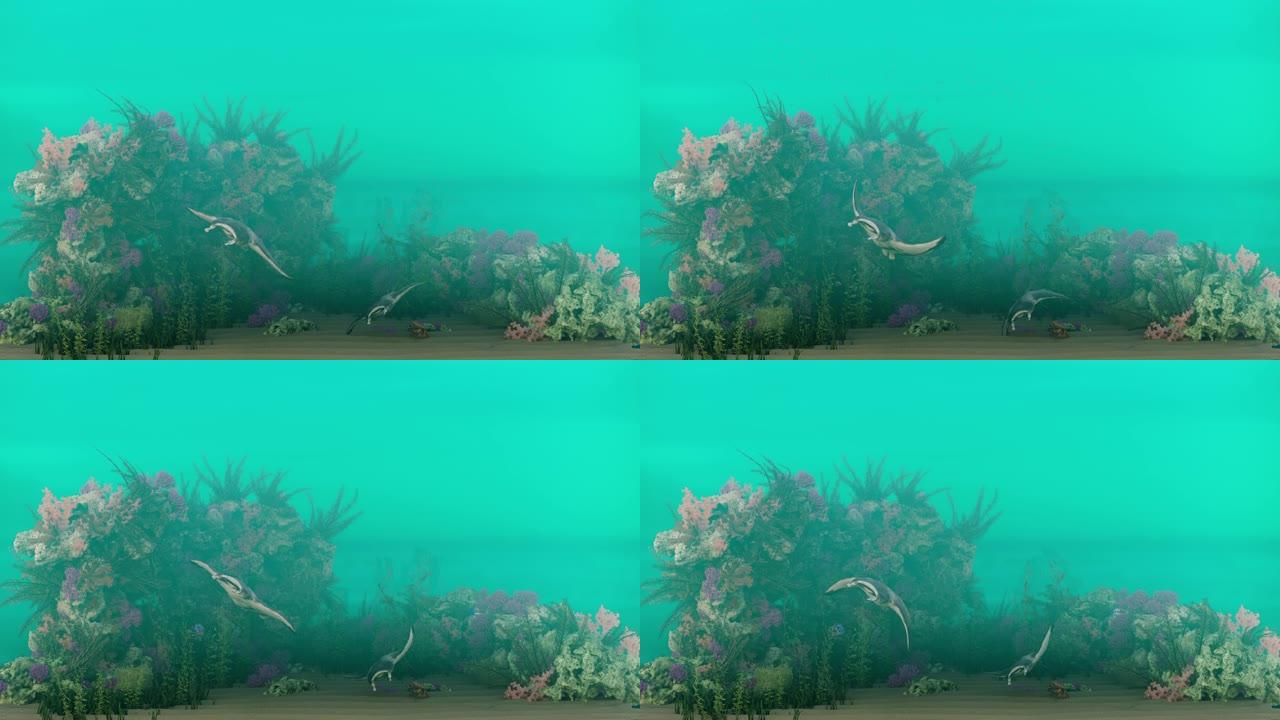 礁石场景。水下生命的3d动画。海底珊瑚。水上循环动画