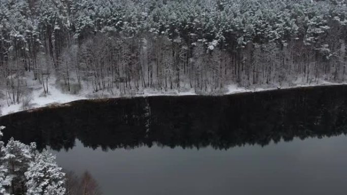 鸟瞰树梢覆盖在森林冬日的湖面积雪平静。宁静的自然，新鲜的空气，干净的蓝色水。在美丽安静的冬季湖上飞越