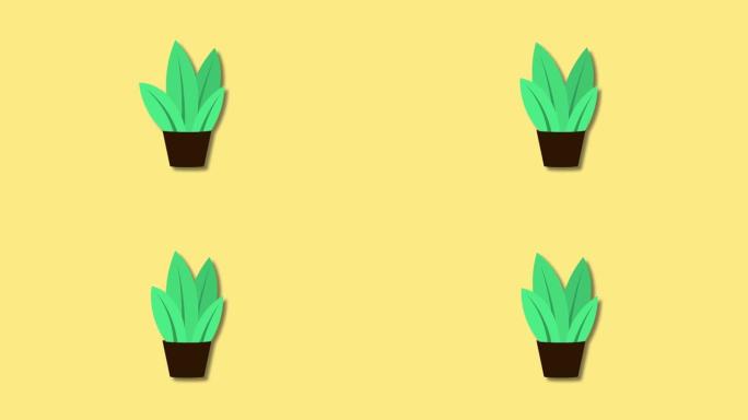 黄色背景上的花盆中卡通植物插图的4k镜头