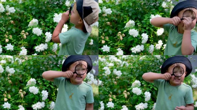这个有趣的小家伙在看花。这孩子用放大镜看东西。