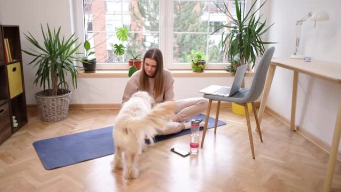 女人在笔记本电脑上冲浪在线瑜伽课，而狗让她成为公司