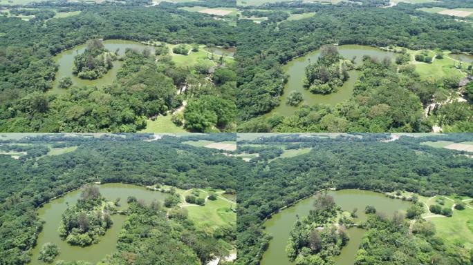 巴西圣何塞多斯坎波斯的布尔·马克思公园-达·西达德公园的鸟瞰图。