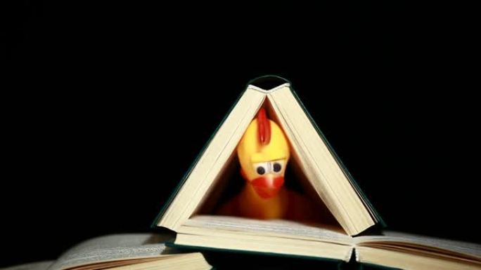 书籍橡胶鸡的镜头黑暗背景