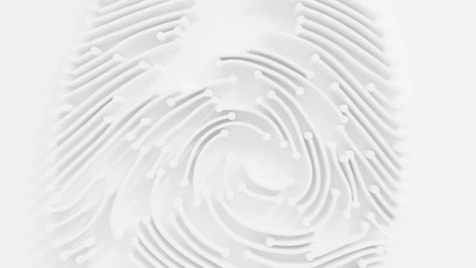 数字指纹电路白色。安全或计算机概念设计。